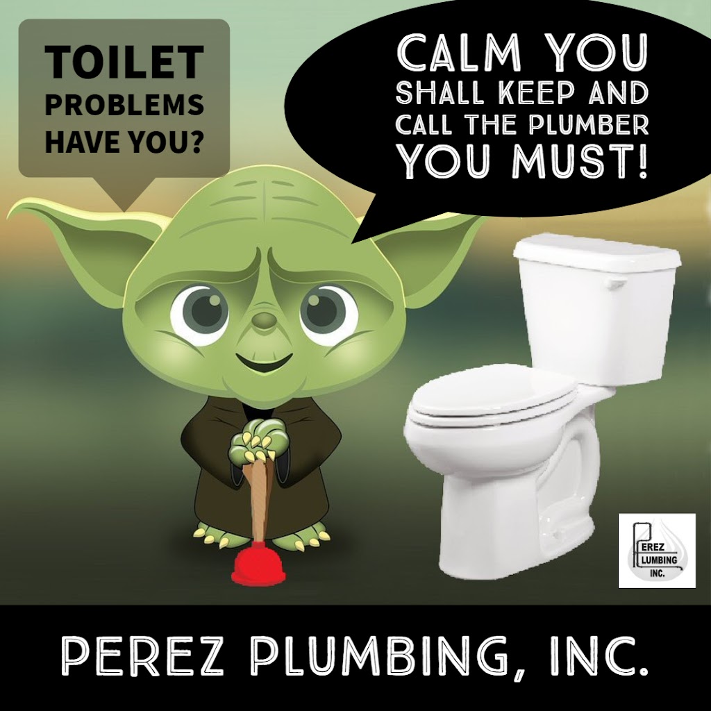 Perez Plumbing, Inc. | 3526 Williston Loop, Land O Lakes, FL 34639, USA | Phone: (813) 907-1515