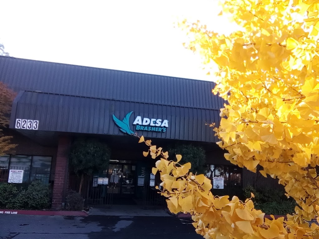 Adesa Brashers | 6233 Blacktop Rd, Rio Linda, CA 95673, USA | Phone: (916) 991-5555