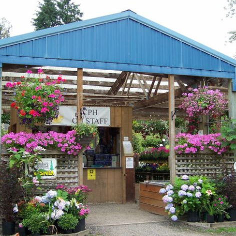 Roadhouse Nursery | 12511 Central Valley Rd NE, Poulsbo, WA 98370, USA | Phone: (360) 779-9589