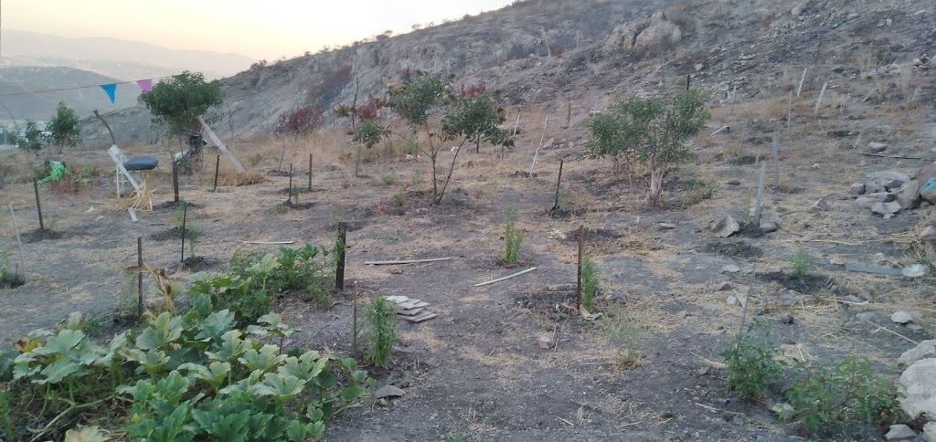 Areas verdes | De la Niña, Vista del Valle, 22330 Fraccionamiento el Niño, B.C., Mexico | Phone: 663 107 5924