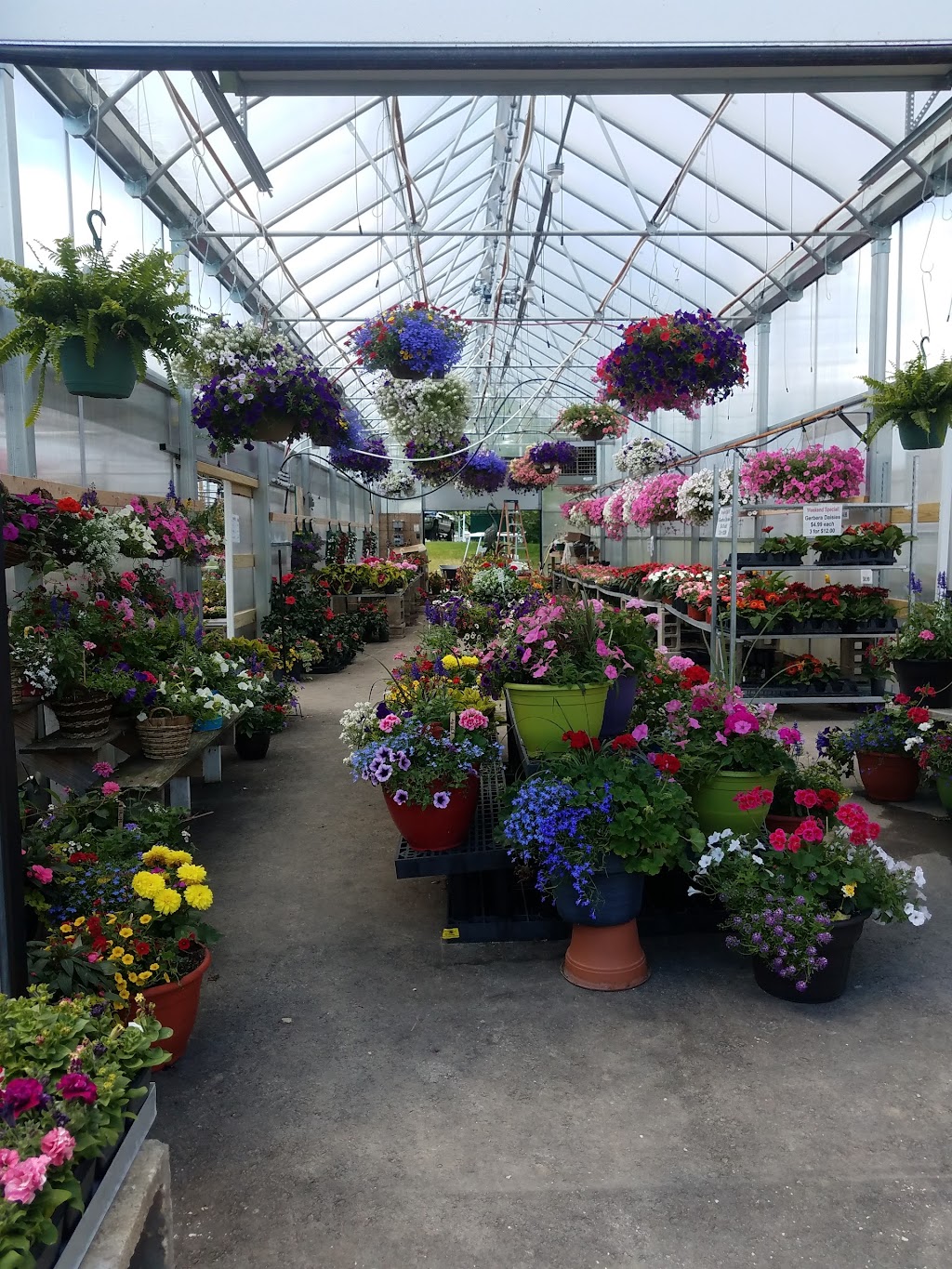 Nehms Greenhouse & Floral | 3639 WI-175, Slinger, WI 53086, USA | Phone: (262) 644-5688