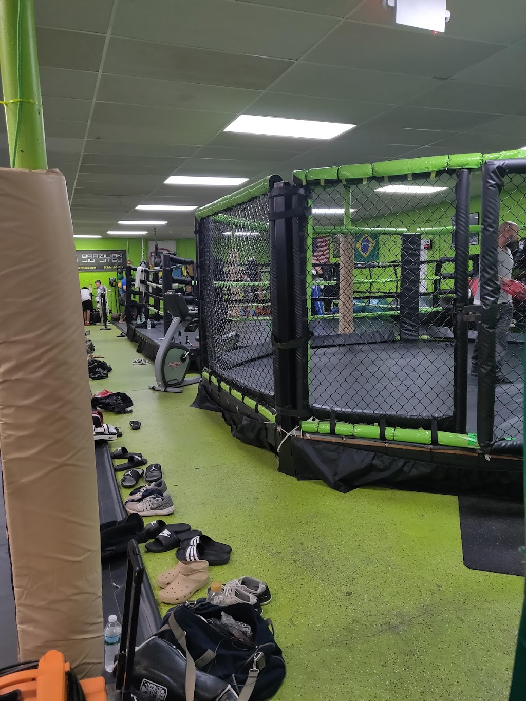 Animals MMA Yonkers | 16 Tuckahoe Rd, Yonkers, NY 10710, USA | Phone: (914) 623-7295