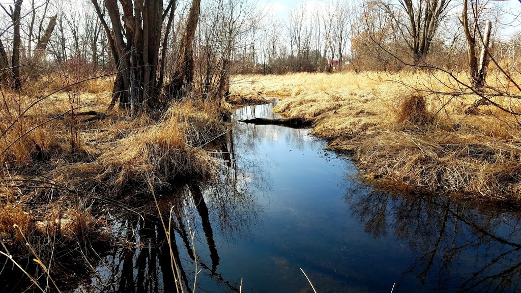 Mud Lake Forest and Ponds State Natural Area | Tollefson Rd, Rio, WI 53960, USA | Phone: (888) 936-7463