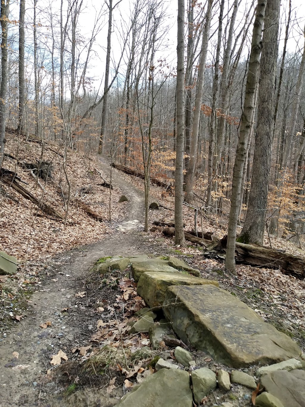 East Rim Trail | 281 Boston Mills Rd, Peninsula, OH 44264, USA | Phone: (330) 778-4241