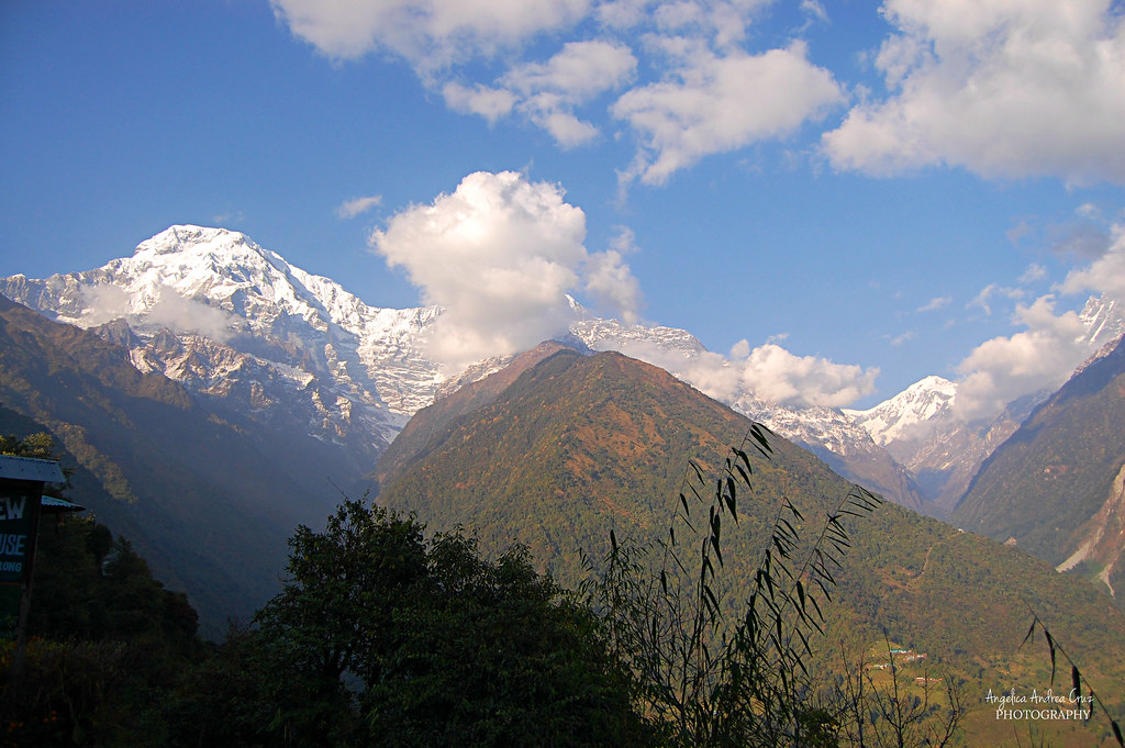 Adventure White Mountain | Thamel Marg, Kathmandu 44600, Nepal | Phone: (985) 115-4520