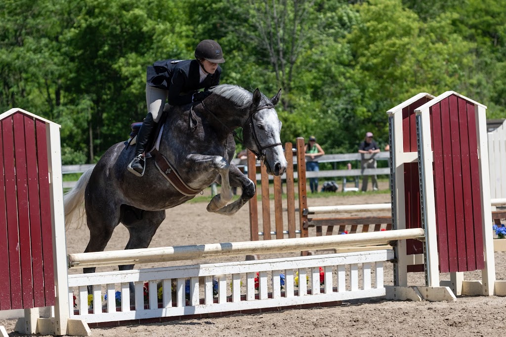 Stockade Polo & Saddle Club | 505 Sacandaga Rd, Schenectady, NY 12302 | Phone: (518) 384-0333