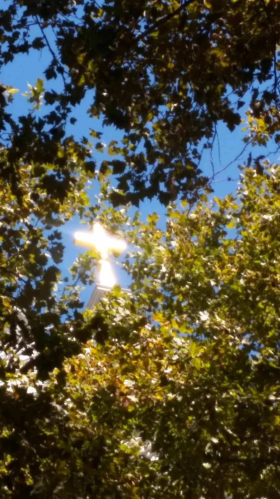 Gomez Tires | 4632 Dry Creek Rd, Sacramento, CA 95838, USA | Phone: (916) 564-4904 Gomez Tires | 4632 Dry Creek Rd, Sacramento, CA 95838, USA | Phone: (916) 564-4904