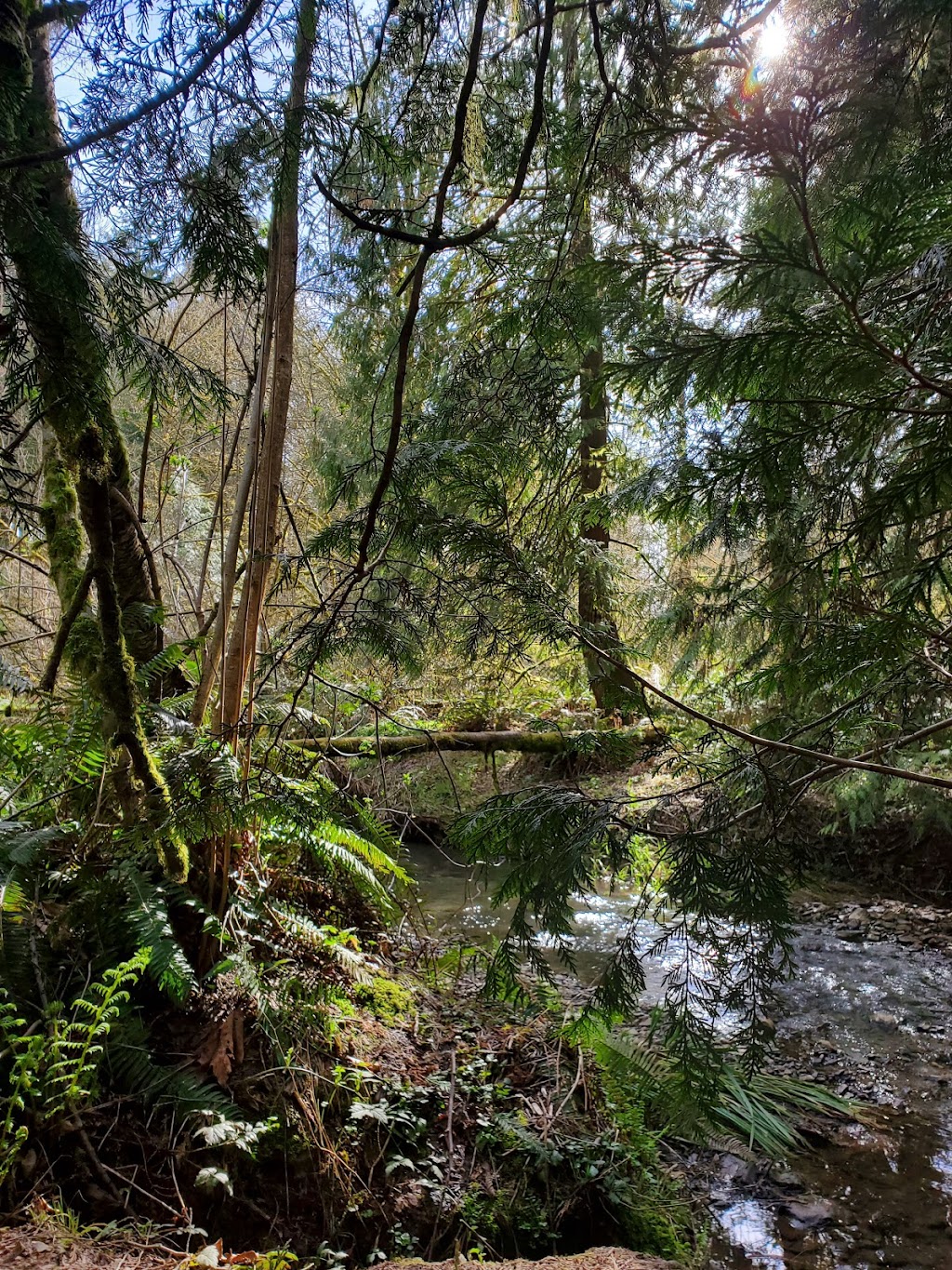 Jordan Woods Natural Area | Access N end of 107th, N of Cornell, Portland, OR 97229, USA | Phone: (503) 645-6433