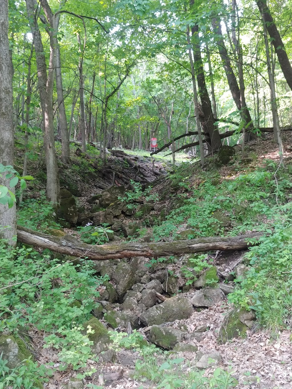 Rush River Delta State Natural Area | W4070 WI-35, Maiden Rock, WI 54750, USA | Phone: (608) 266-0394