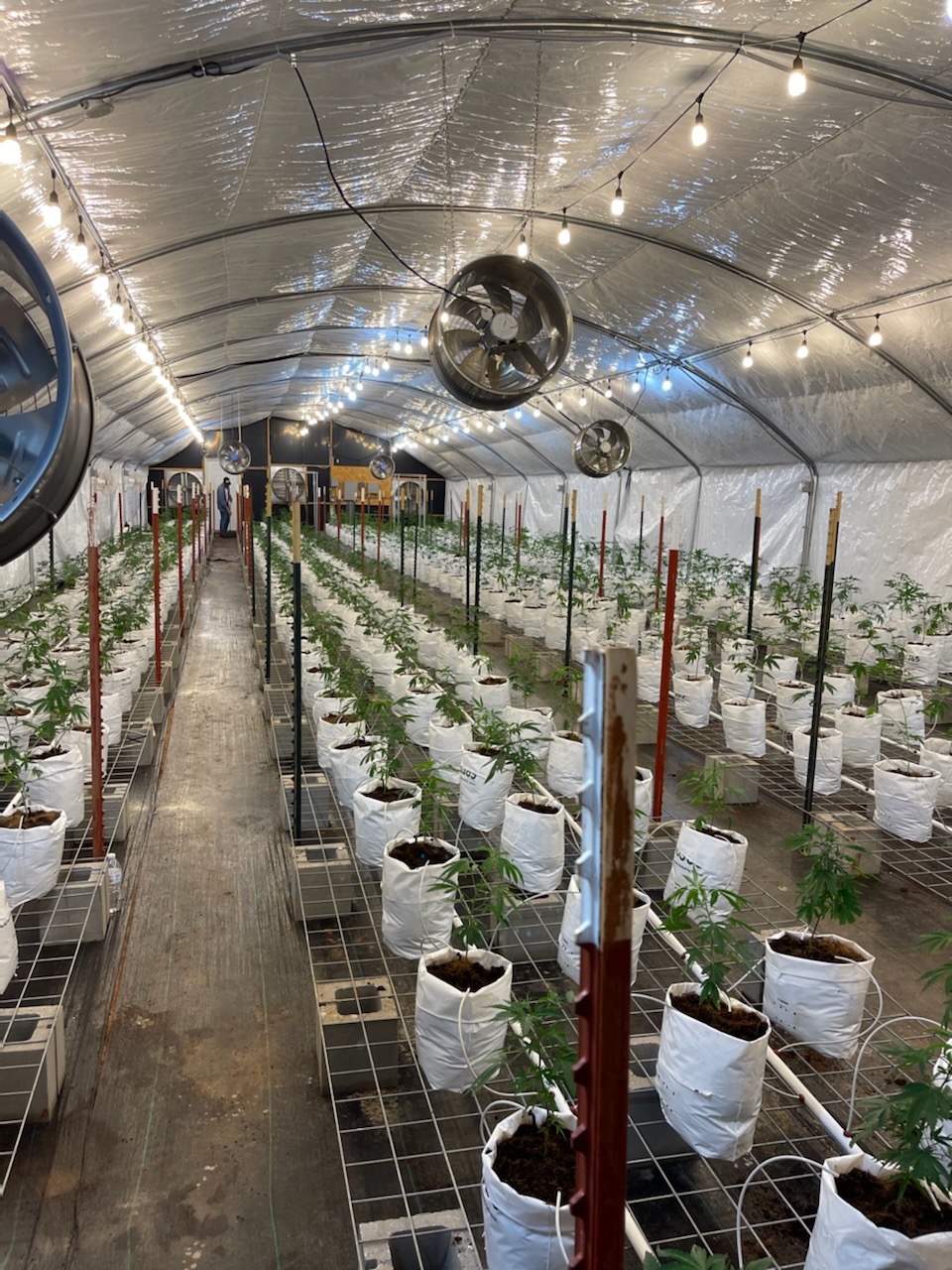 Sugar Moon farms cultivation property | 2836 County Street 2990, Alex, OK 73002, USA | Phone: (405) 200-5045