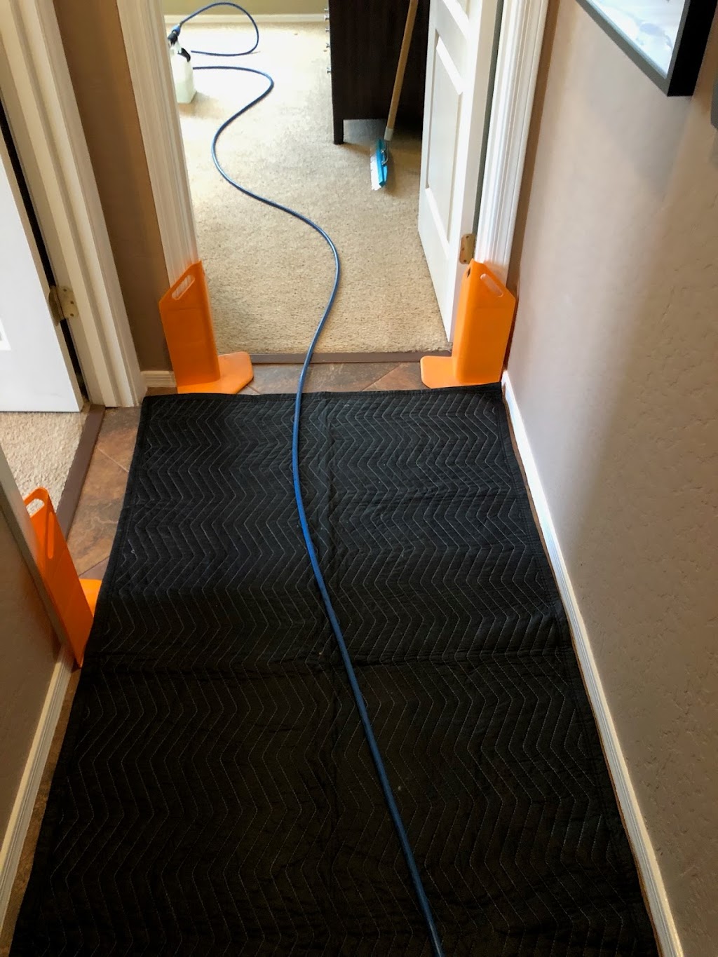 Mustang Carpet & Tile Cleaning | 238 W Desert Ave, Gilbert, AZ 85233, USA | Phone: (480) 688-3003