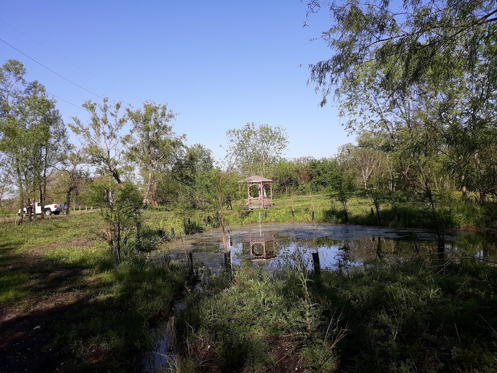 Sankofa Wetland Park and Nature Trail | 6401 Florida Ave, New Orleans, LA 70117, USA | Phone: (504) 872-9214