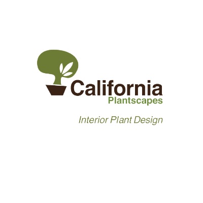 California Plantscapes | 641 Wald, Irvine, CA 92618, United States | Phone: (866) 668-2929