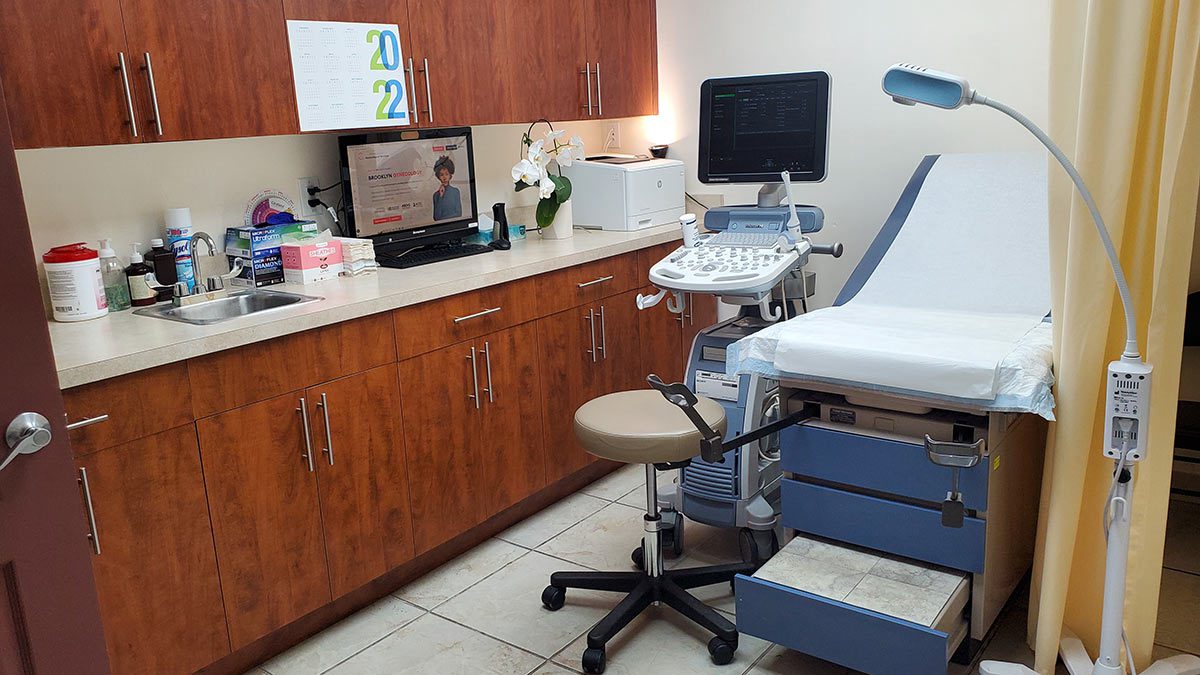Professional Gynecological Services | 14 DeKalb Ave 2nd Floor, Brooklyn, NY 11201, United States | Phone: (718) 875-4848