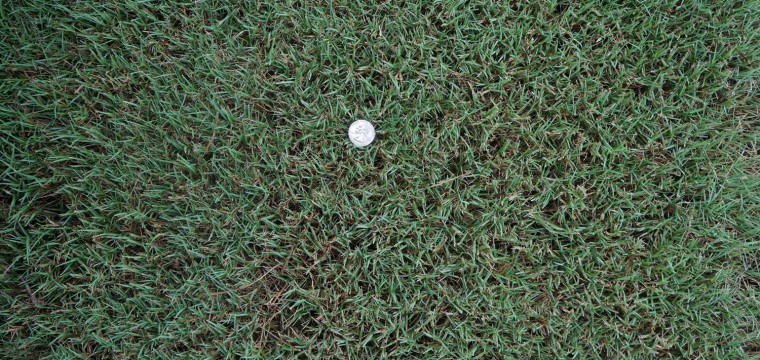 The Grass Outlet | 11500 Mosier Valley Rd, Euless, TX 76040, USA | Phone: (214) 796-4045