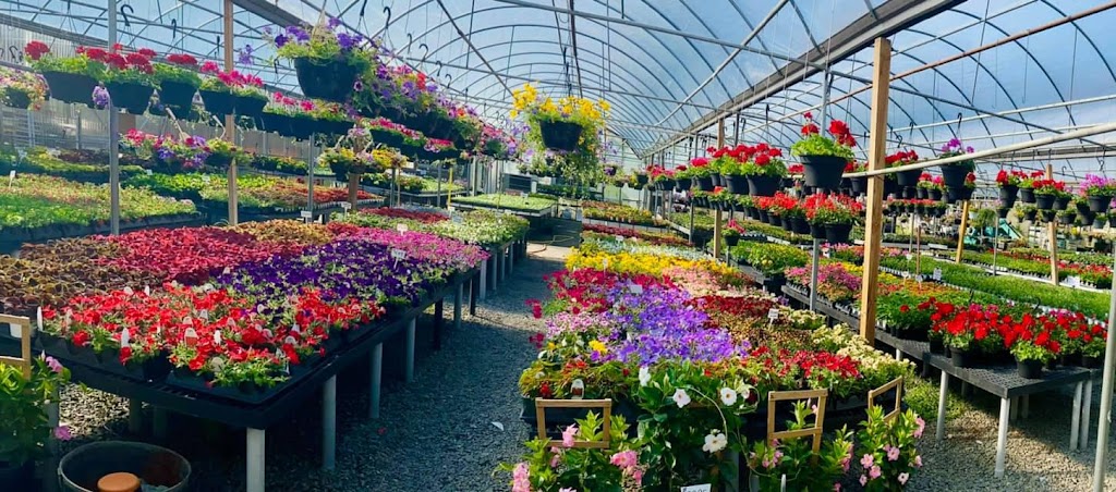 Fairfield Farms & Greenhouses | 177 Big Piece Rd, Fairfield, NJ 07004, USA | Phone: (973) 227-1011