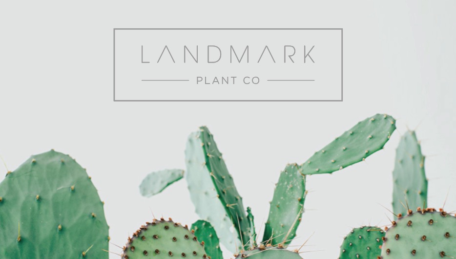 Landmark Plant Co. - Encinitas | 495 Leucadia Blvd, Encinitas, CA 92024, USA | Phone: (760) 634-7688