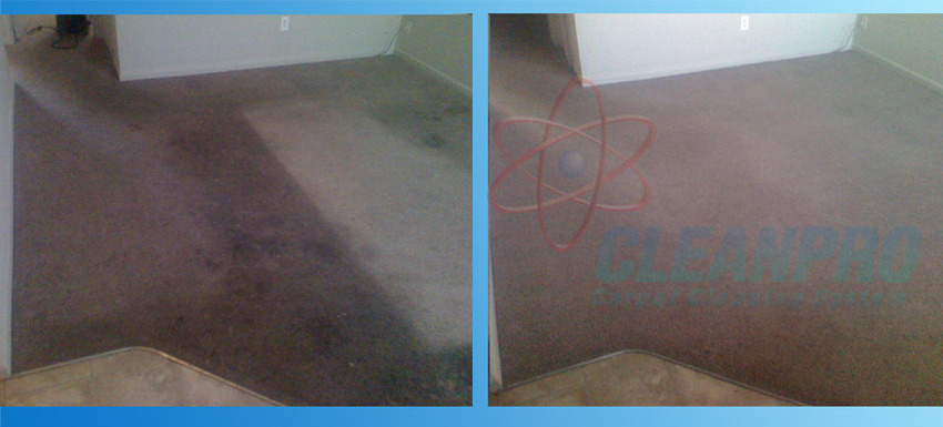 Denver Cleanpro - Carpet Cleaner | 18919 E Mercer Dr, Aurora, CO 80013, USA | Phone: (303) 903-1261