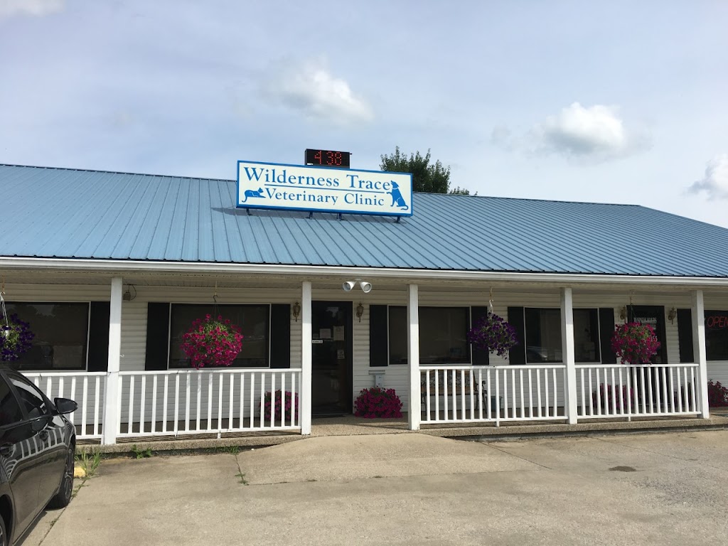 Wilderness Trace Veterinary Clinic | 276 Henry St, Junction City, KY 40440, USA | Phone: (859) 854-5055