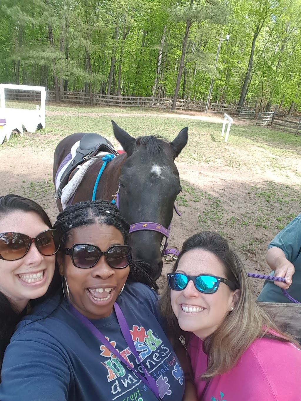 Helping Horse Therapeutic Riding | 5104 Riley Hill Rd, Wendell, NC 27591, USA | Phone: (919) 816-2103