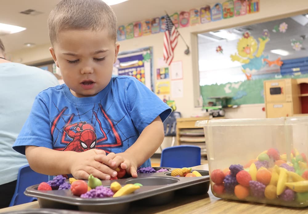 Kimber Hills Preschool | 39700 Mission Blvd, Fremont, CA 94539, USA | Phone: (510) 651-5437