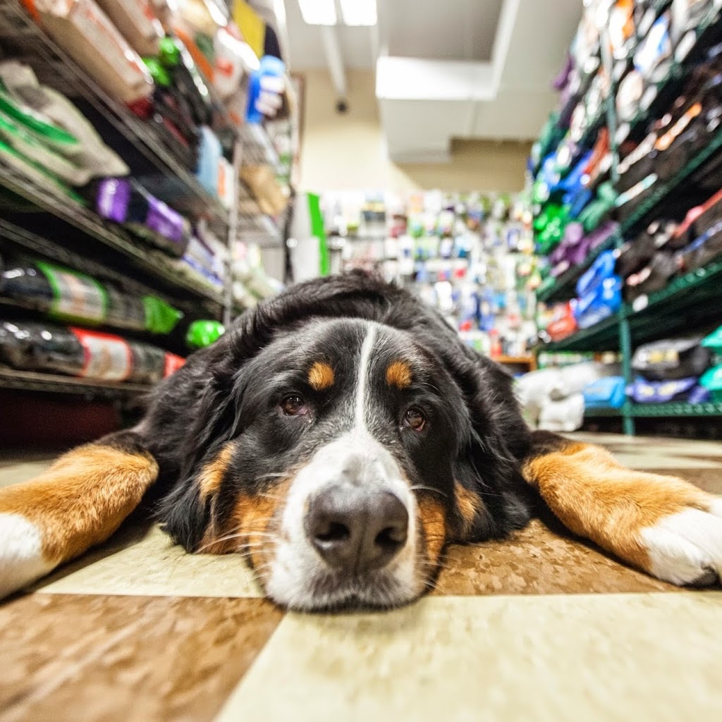 Tabby & Jacks Pet Supplies, Grooming and Doggie Daycare | 6925 University Ave, Middleton, WI 53562 | Phone: (608) 841-1133