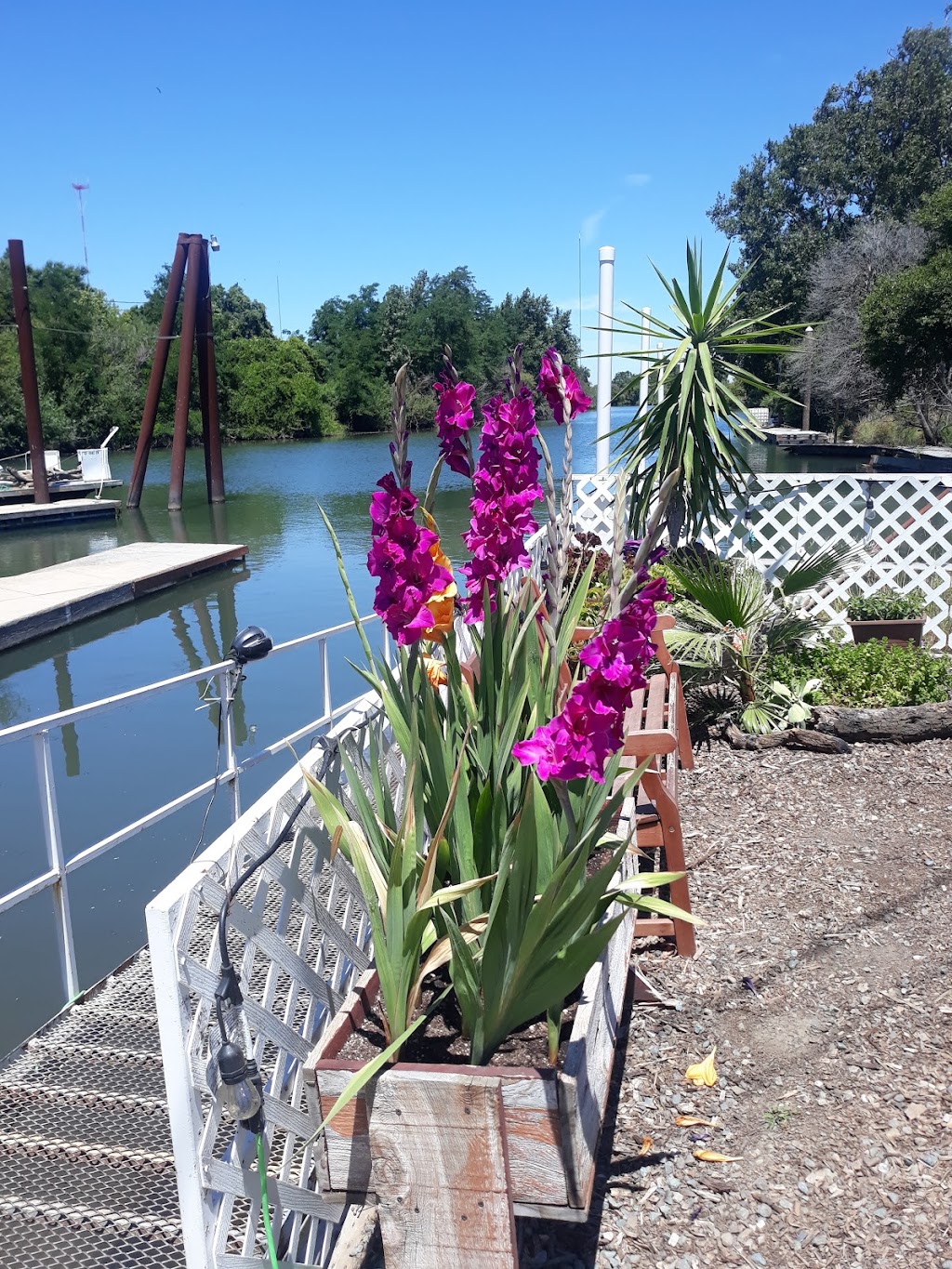 New Hope Landing RV Park & Marina | 13945 W Walnut Grove Rd, Walnut Grove, CA 95690, USA | Phone: (209) 210-4485