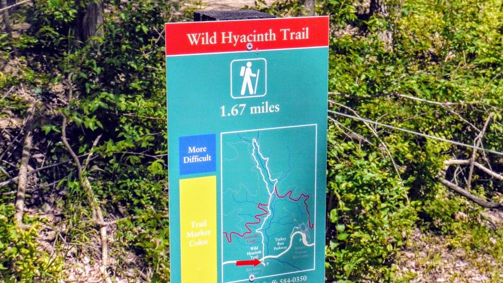 Wild Hyacinth Trail | Louisville, KY 40299, USA | Phone: (502) 584-0350