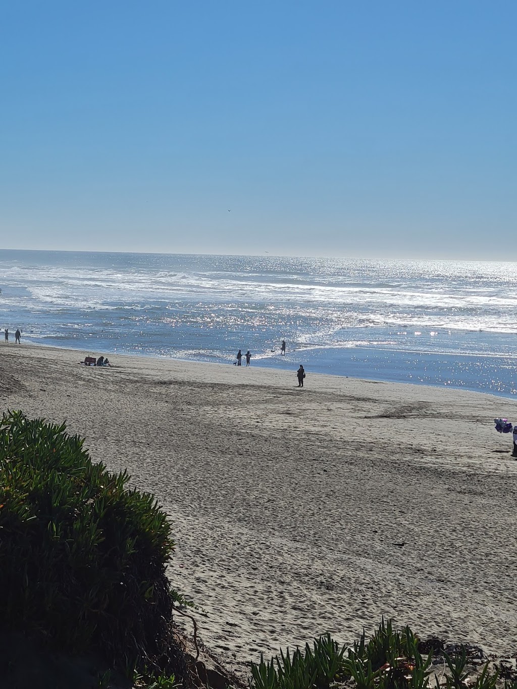 Little Forest Explorers, LLC | 185 Lake Dr, San Bruno, CA 94066, USA | Phone: (650) 430-4031