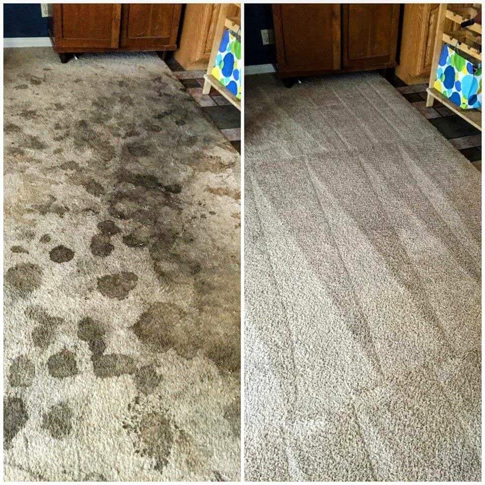 Pro-Clean Carpet & Upholstery Cleaning | 210 Cedar St #98, Pataskala, OH 43062, USA | Phone: (614) 794-5448