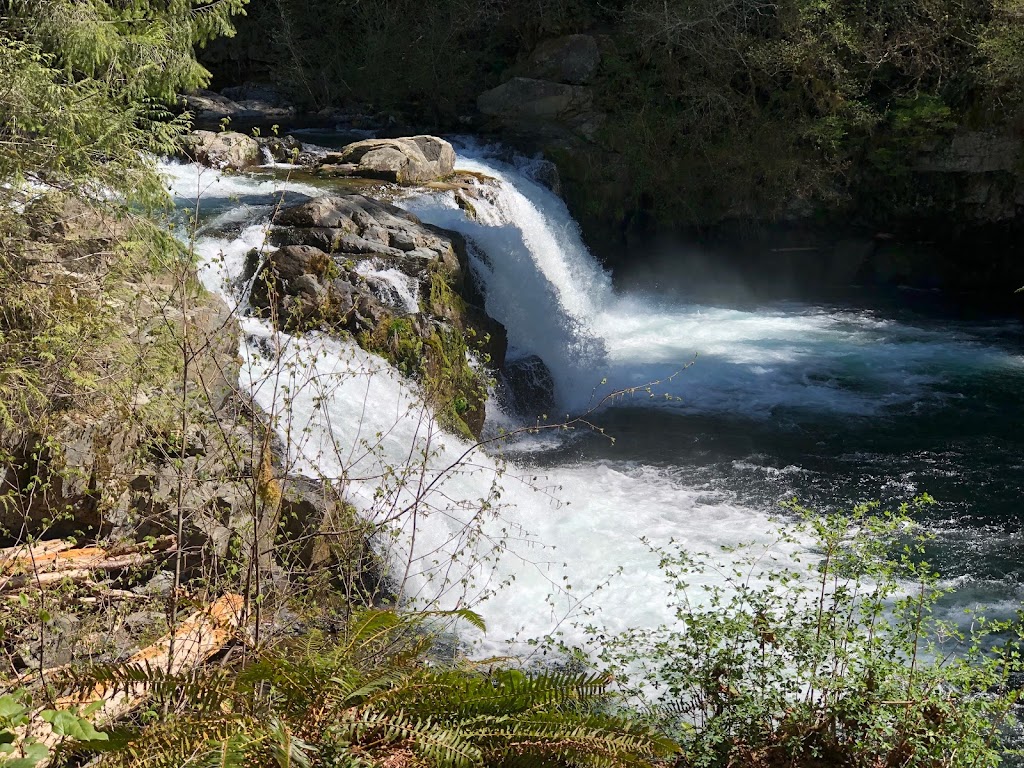 Sunset Falls Campground | 40806 NE Sunset Falls Rd, Yacolt, WA 98675, USA | Phone: (509) 395-3400