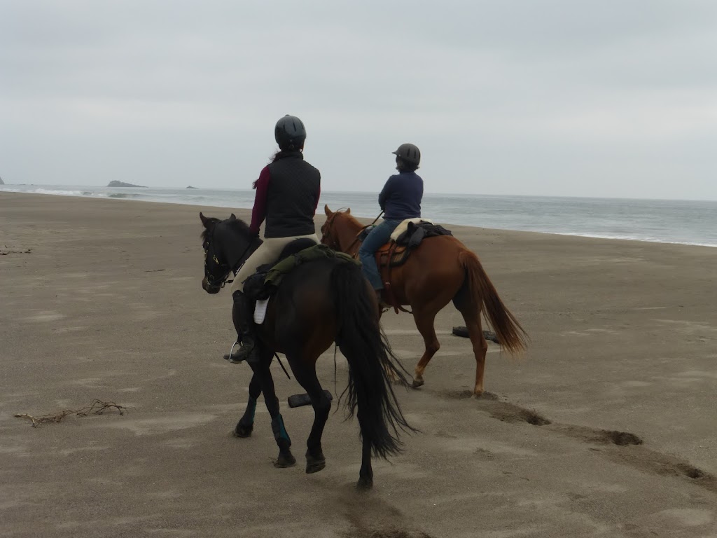 FIVE BROOKS HORSE CAMP | 26W5+3J, Bolinas, CA 94924, USA | Phone: (415) 663-1570