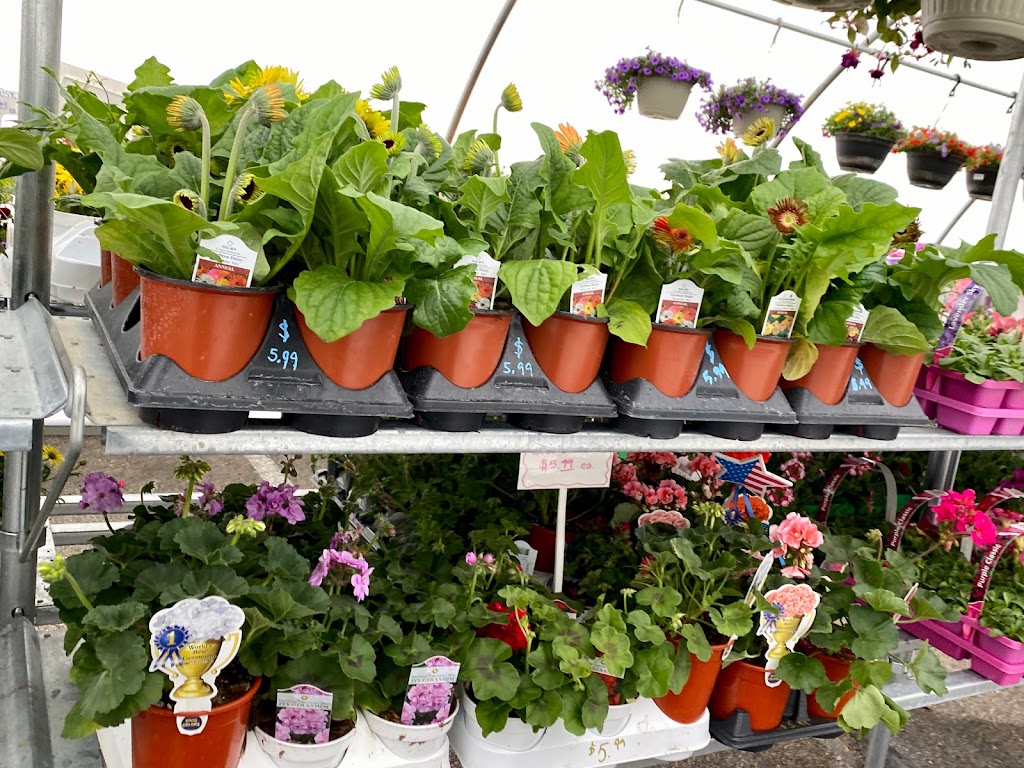 Plant Place Garden Center | 800 W 78th St, Chanhassen, MN 55317, USA | Phone: (763) 441-8022