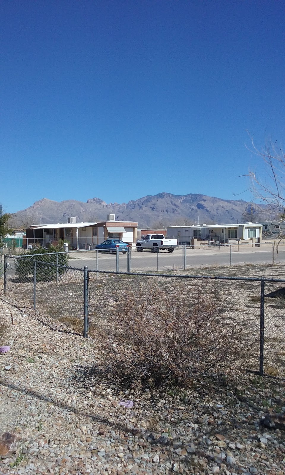 Silver Cholla Mobile Home Park | 5000 N La Cholla Blvd, Tucson, AZ 85705, USA | Phone: (520) 597-5995