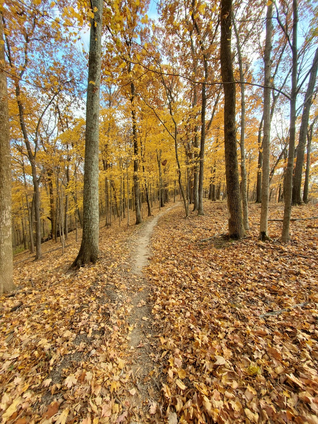 Babler State Park | 800 Guy Park Dr, Wildwood, MO 63005, USA | Phone: (636) 458-3813