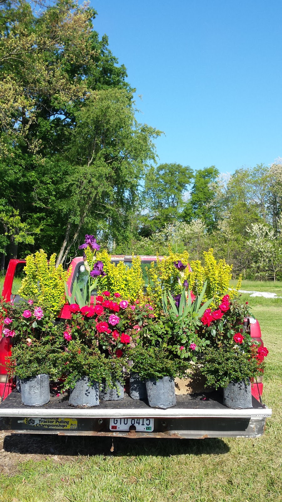 Spring Gardens Plant Farm | 1988 OH-73, Waynesville, OH 45068, USA | Phone: (513) 804-8288