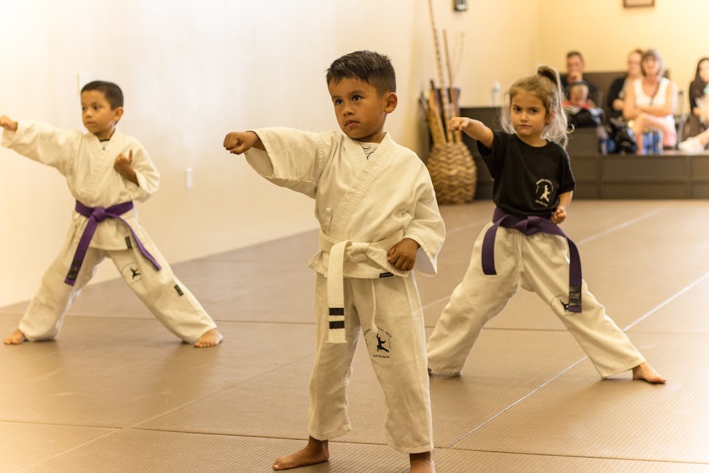 Manteca Martial Arts | 1463 Moffat Blvd Suite 11,12, Manteca, CA 95336 | Phone: (209) 825-8640