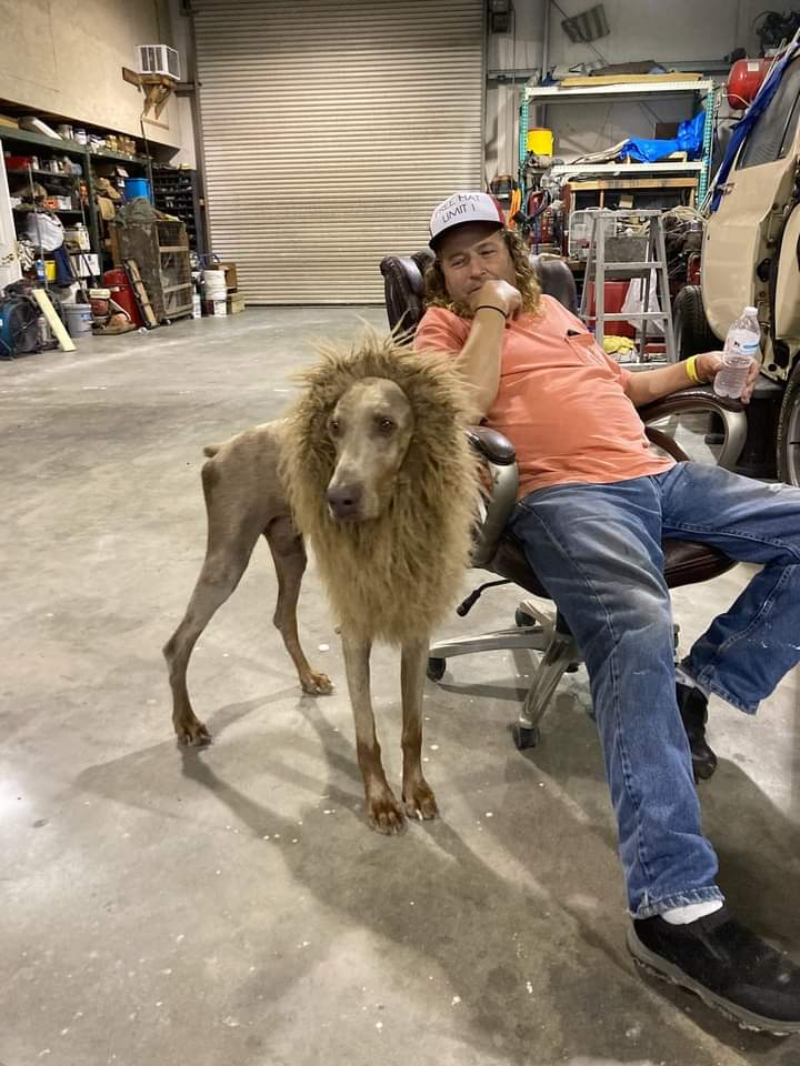 Windsor Pet Hospital | 11483 Windsor Blvd, Windsor, VA 23487, USA | Phone: (757) 242-9191