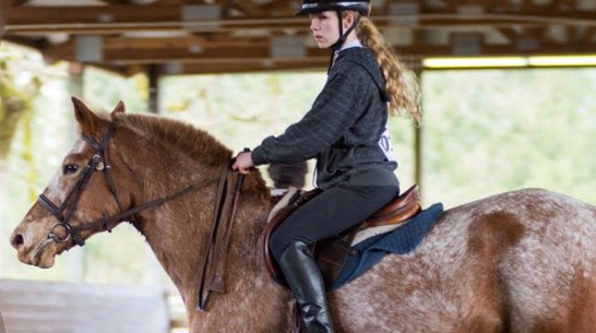 Wilsonville Equestrian Center | 24040 SW 82nd Ave, Tualatin, OR 97062, USA | Phone: (503) 888-6318