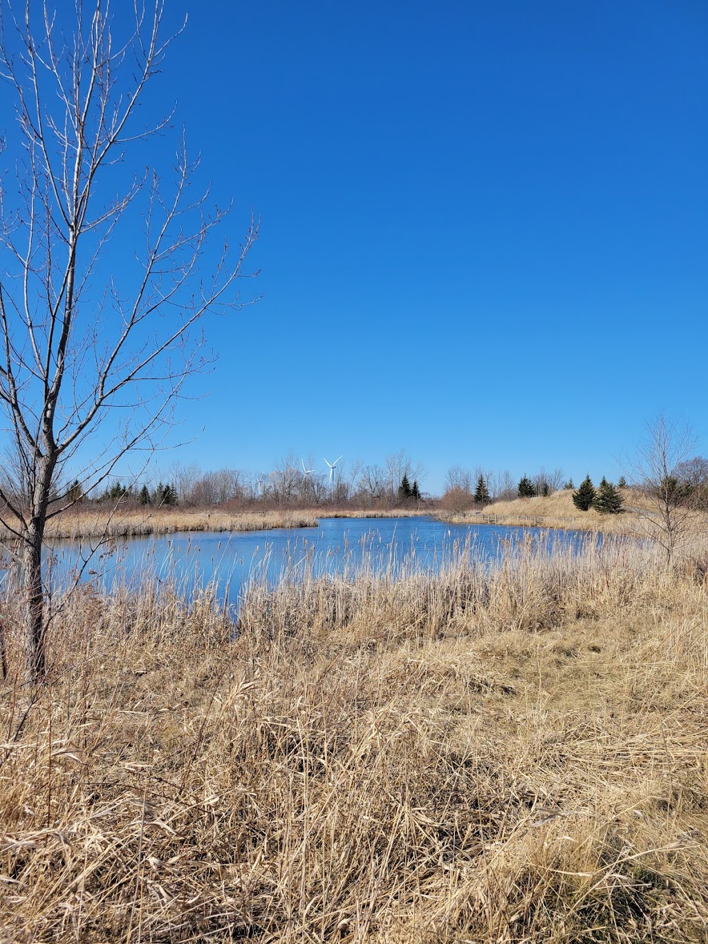 Gord Harry Conservation Trail Parking Lot | Gord Harry Conservation Trail, Wainfleet, ON L0S 1V0, Canada | Phone: (905) 788-3135