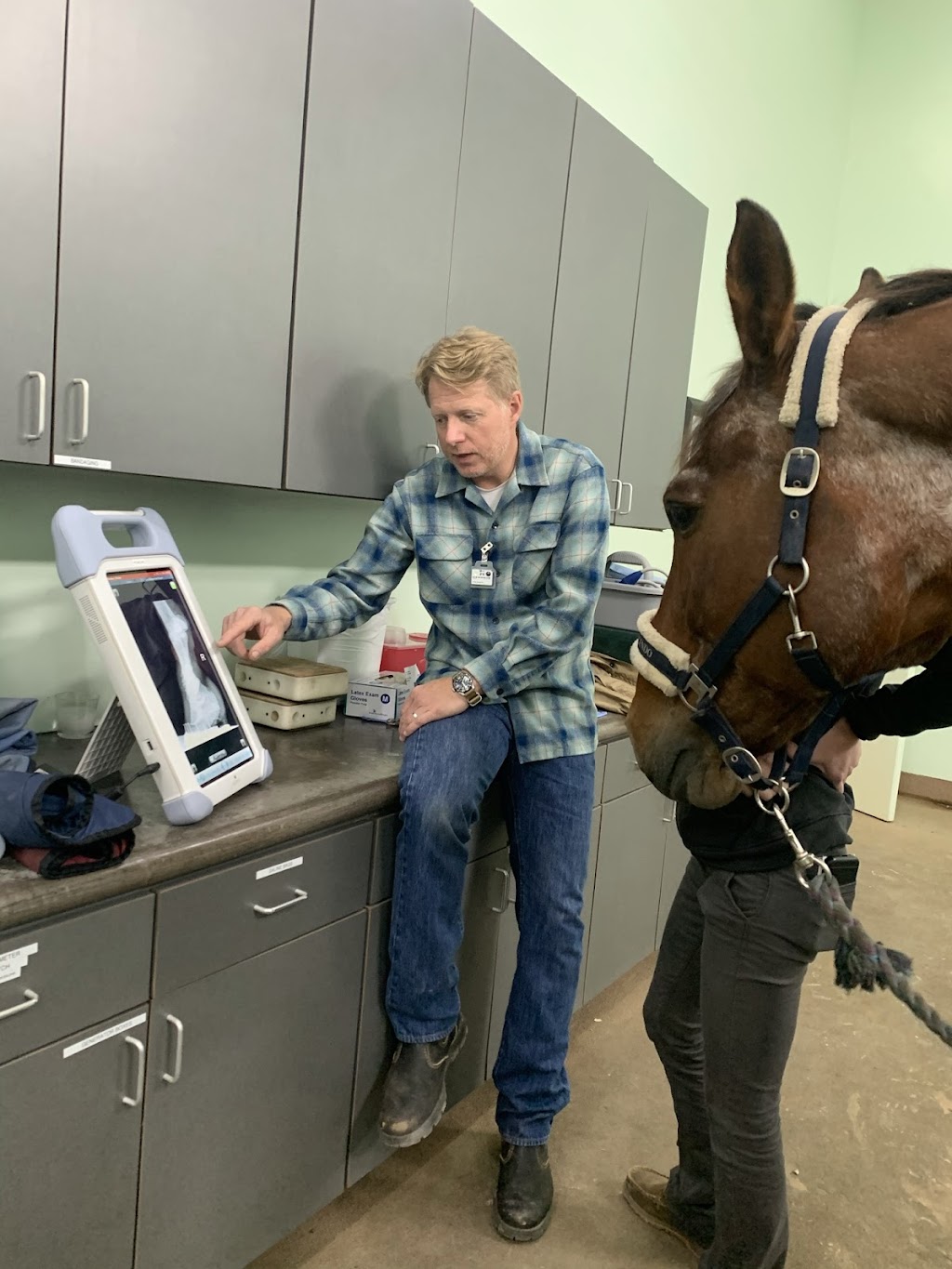 Austin Equine Hospital | 20640 Ranch to Market Rd 150, Driftwood, TX 78619, USA | Phone: (512) 858-0058