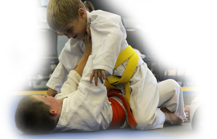 Twinsburg Karate Institute (TKI) | 2272 Pinnacle Pkwy, Twinsburg, OH 44087, USA | Phone: (330) 963-3069