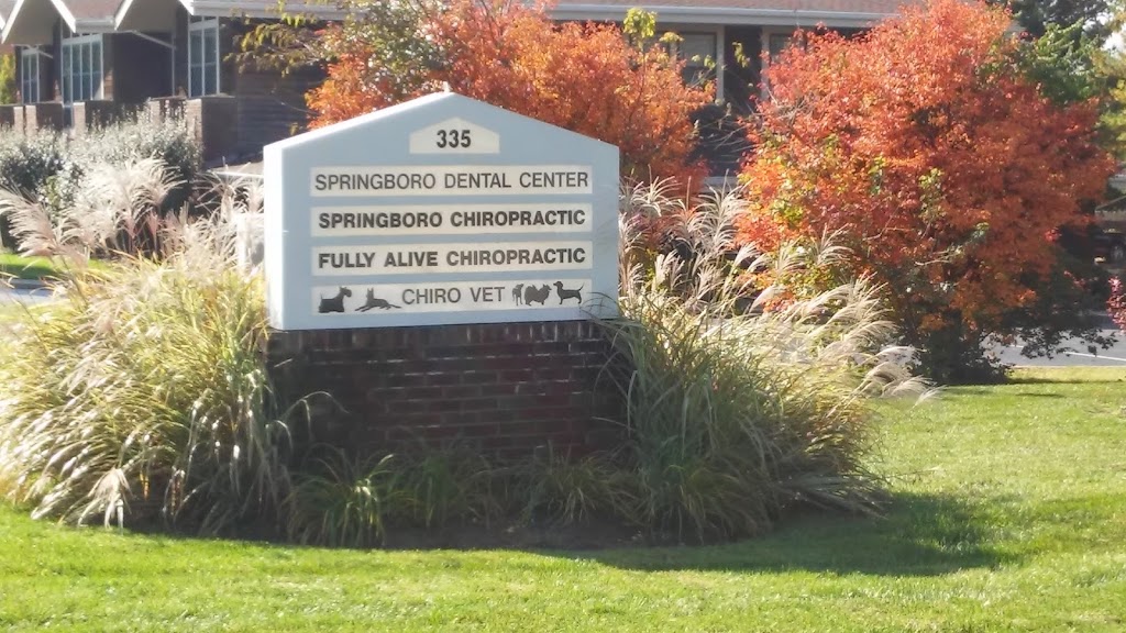 Fully Alive Chiropractic | 335 N Main St, Springboro, OH 45066, USA | Phone: (937) 748-9708