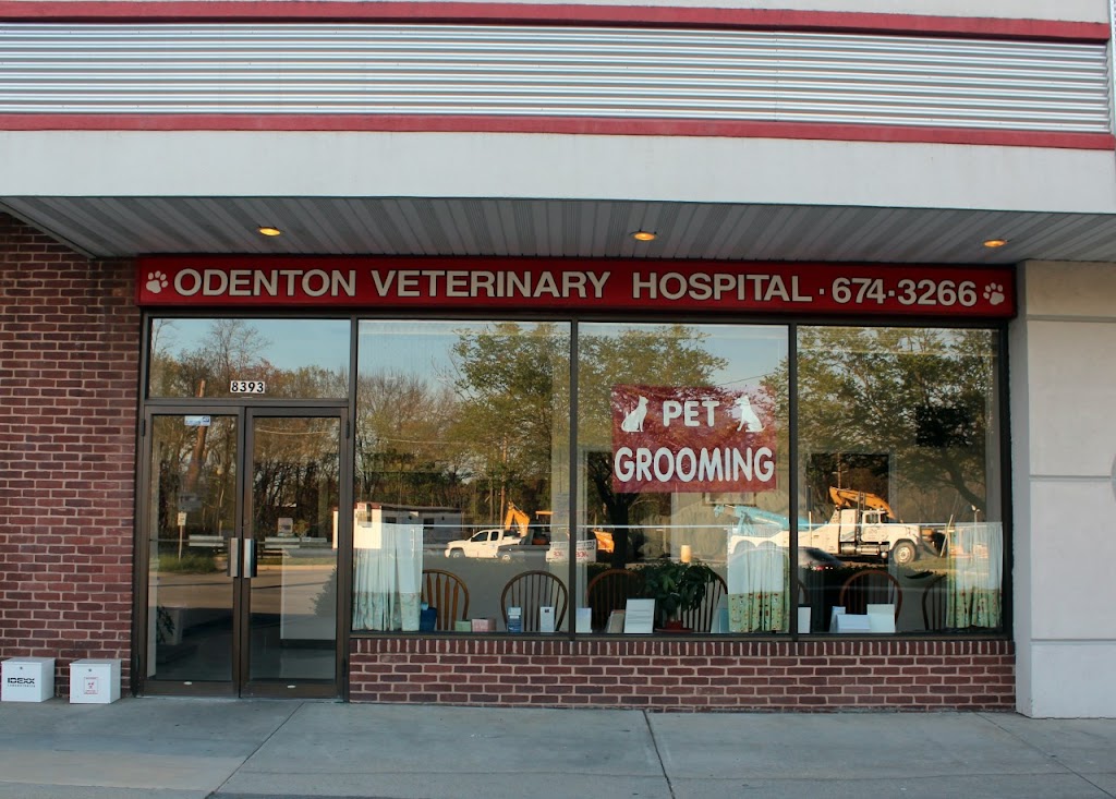 Odenton Veterinary Hospital | 8393 Piney Orchard Pkwy, Odenton, MD 21113 | Phone: (410) 674-3266