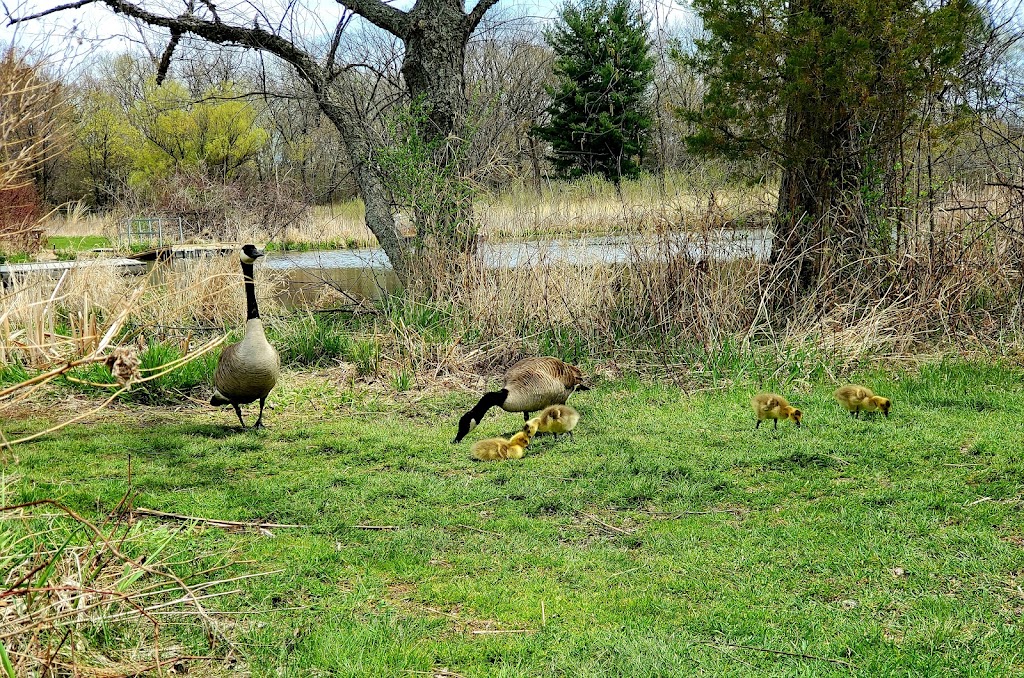 Aldo Leopold Nature Center | 330 Femrite Dr, Monona, WI 53716, USA | Phone: (608) 221-0404