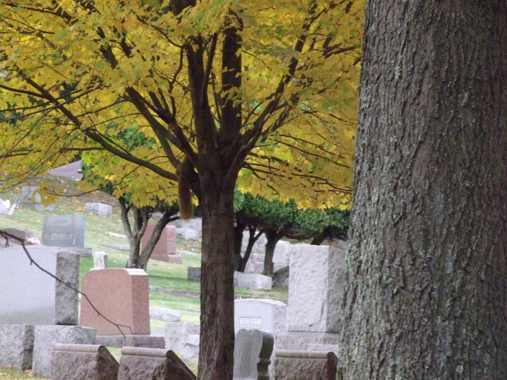 Mount Rose Cemetery | 2 North, Jefferson Ave, Moundsville, WV 26041, USA | Phone: (304) 845-5559