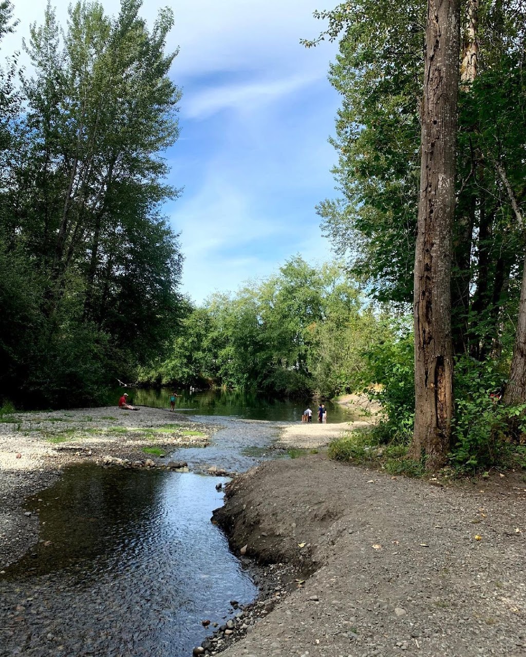 Swan Creek Park | 3997 E Roosevelt Ave, Tacoma, WA 98404, USA | Phone: (253) 305-1000