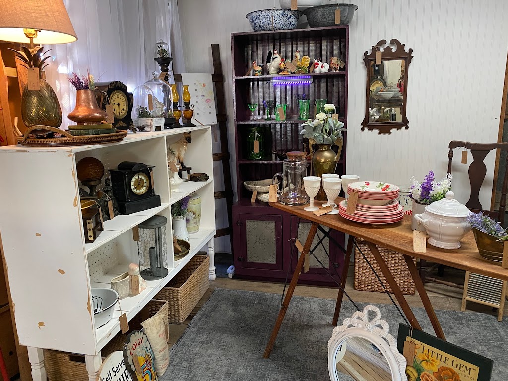 The Florida Native • Antiques & More | 15 S Market Blvd, Webster, FL 33597, USA | Phone: (352) 569-4277