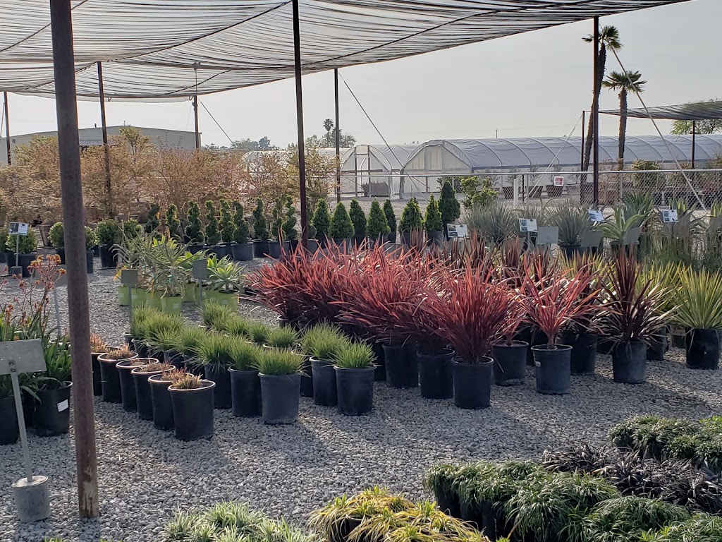 Riverside Nursery and Landscape | Enter Off Chateau, 7864 W Shaw Ave, Fresno, CA 93722, USA | Phone: (559) 275-1891