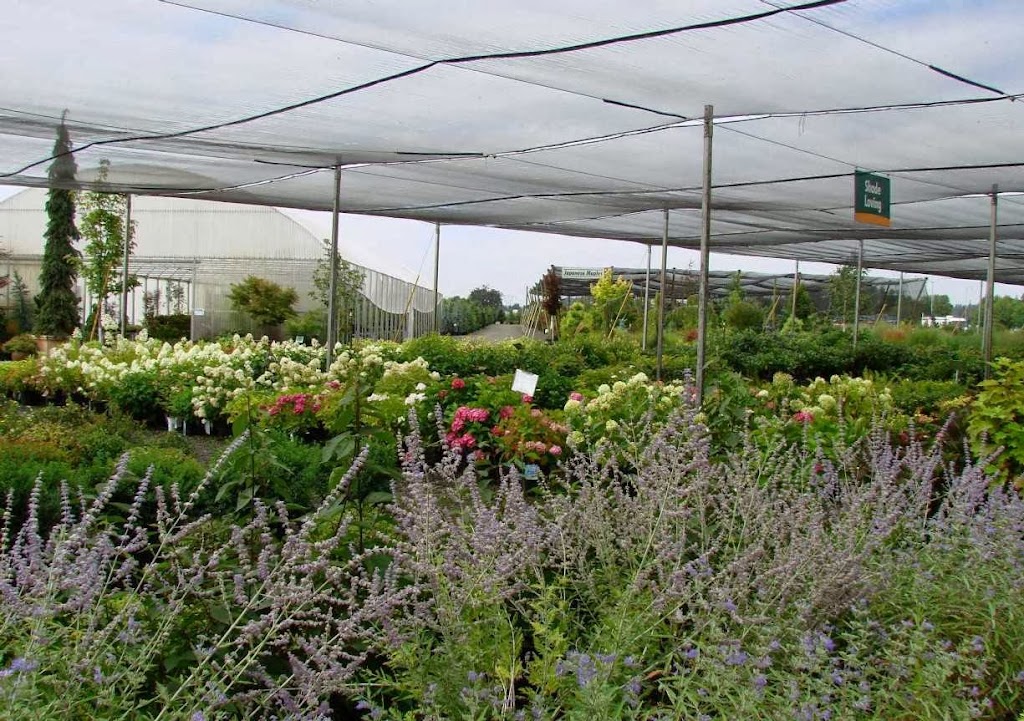 Garden World | 10506 Broadacres Rd NE, Hubbard, OR 97032, USA | Phone: (503) 982-2380